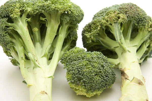 Fresh Broccoli — Stock Photo, Image