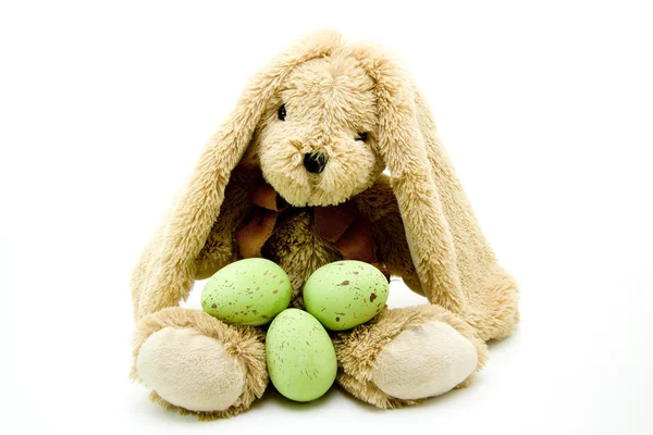 Easter bunny — Stock Photo, Image