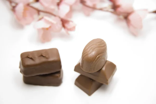 Verschillende chocolade — Stockfoto