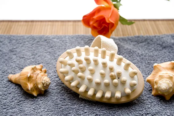 Massage brush — Stock Photo, Image