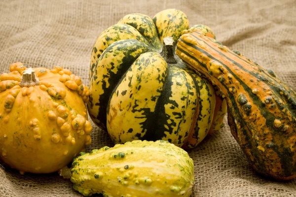 Decorate pumpkin — Stock Photo, Image