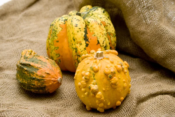 Decorate pumpkin — Stock Photo, Image