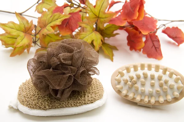 Net sponge and massage sponge — Stock Photo, Image