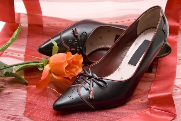 Ladies shoes — Stock Photo, Image