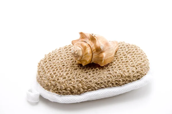 Masážní houbu s shell — Stock fotografie