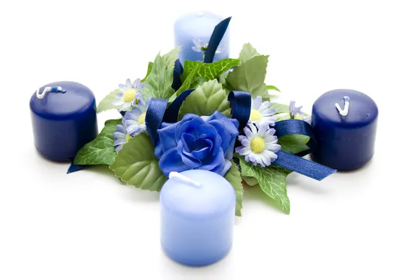 Blue rose Stock Image