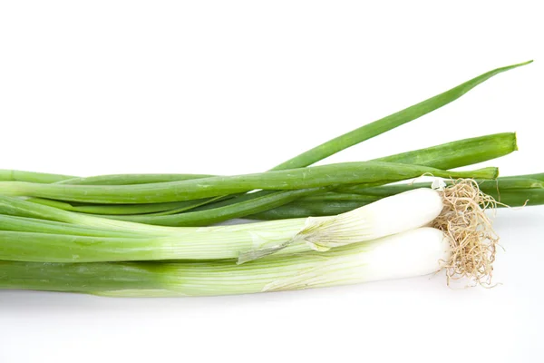 Fresh Green Leek — Stock Photo, Image