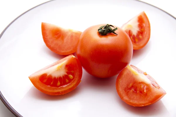 Keř čerstvé rajče — Stock fotografie