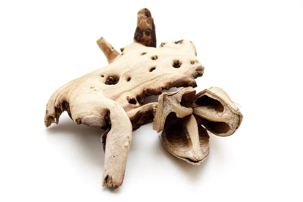 Dry wooden root — Stock Photo, Image