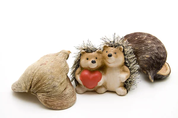 Hedgehog with heart — Stock Photo, Image