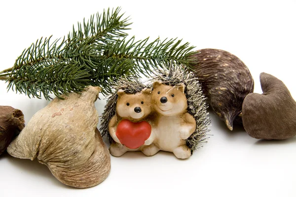 Hedgehog with heart — Stock Photo, Image