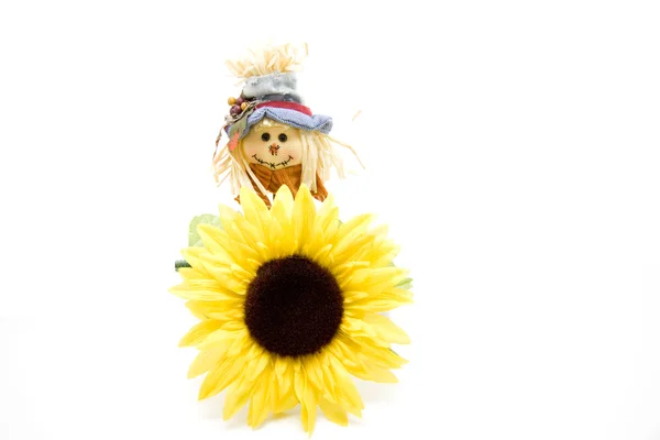 Girasol — Foto de Stock