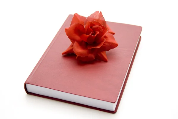 Caderno com rosa — Fotografia de Stock