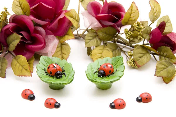 Blumenschmuck mit Marienkäfern — Stockfoto