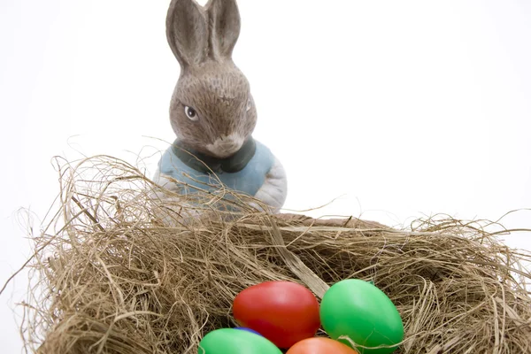 Easter bunnies woman — Stock Photo, Image