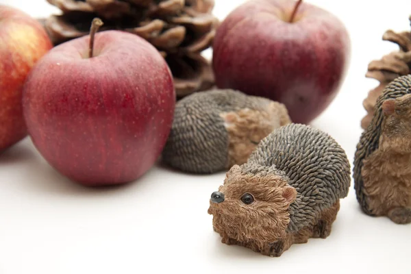 Red Apples with hedgehog and fir cone — Stock Photo, Image