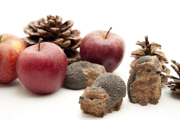 Rode appels met Egel en Spar conus — Stockfoto