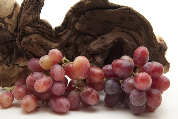 Uvas vermelhas frescas com stock de videira — Fotografia de Stock