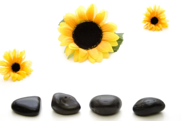 Stones with sunflowers — Stock Photo, Image