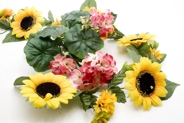 Geranium with sunflower — Stock Photo, Image