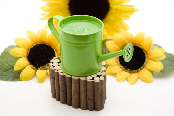 Watering can — Stock Photo, Image