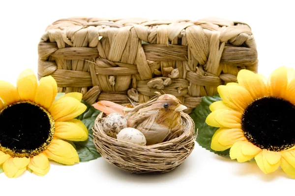 Pájaro en el nido con girasol — Foto de Stock