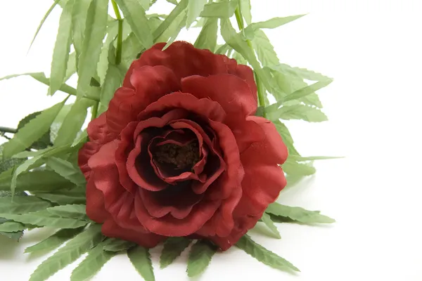 赤いバラとガーランド — ストック写真