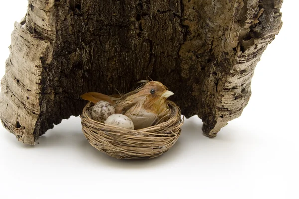 Bird in the nest with bark — Stock Photo, Image