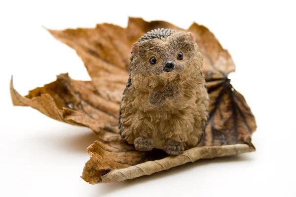 Herfst bladeren met egel — Stockfoto