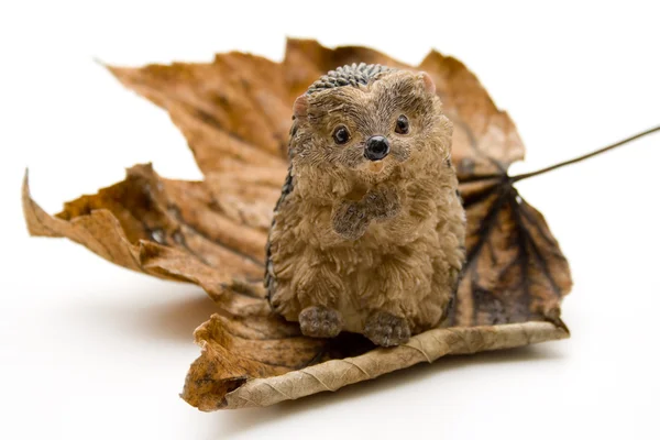 Herfst bladeren met egel — Stockfoto