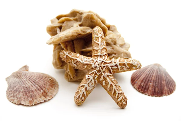 Sea star with sea mussel — Stock Photo, Image
