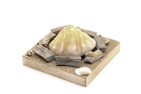 Deniz midyesi taş tulum ile — Stok fotoğraf