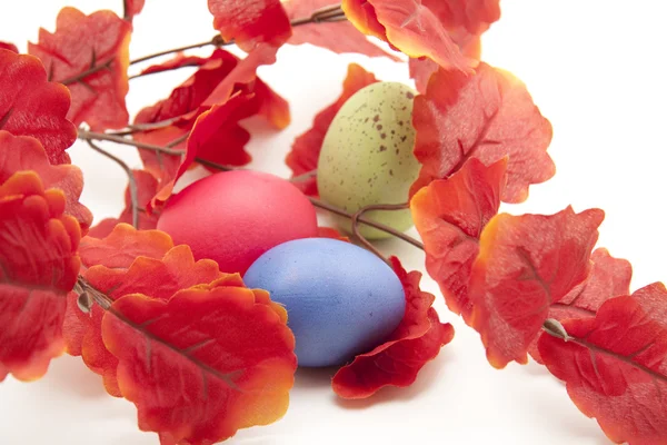 Huevos de Pascua con follaje otoñal — Foto de Stock