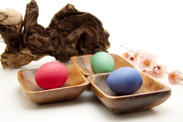 Coloured Easter eggs — Stock Photo, Image