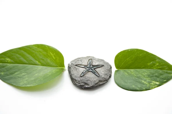 Stone with star and leaves — Stock Photo, Image
