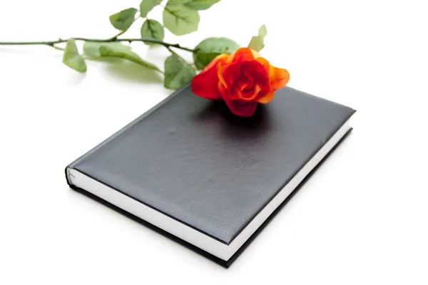 Caderno com rosa — Fotografia de Stock