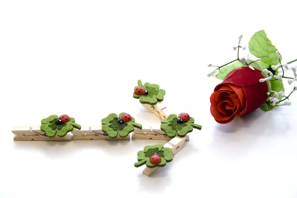 Rode roos met klaverblad — Stockfoto