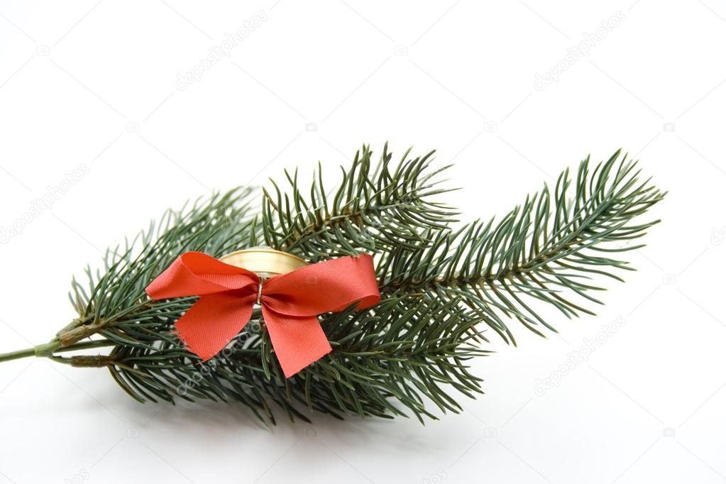 Christmas ball with fir branch
