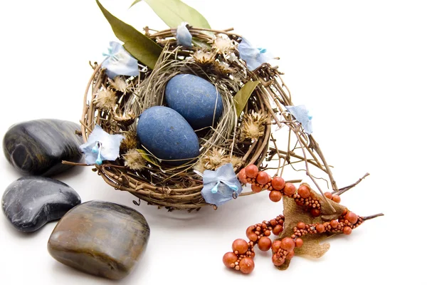 Bird nest with stones — Stock Photo, Image