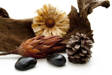 ahşap kök ile saman çiçek