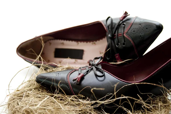 Zapatos de mujer en el nido de heno — Foto de Stock