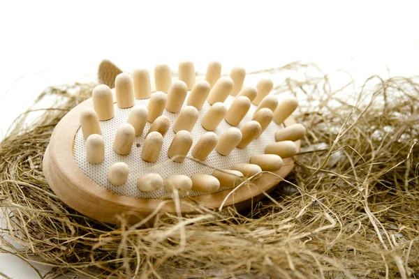 Masážní kartáč v hnízdě seno — Stock fotografie
