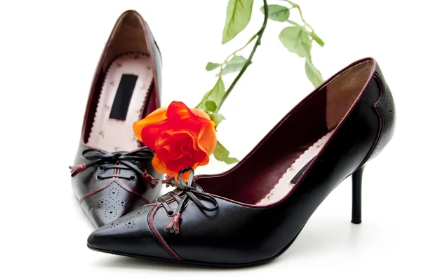 Ladies shoes with rose — Stock Photo, Image