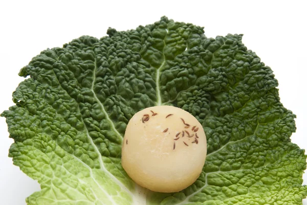 Savoy cabbage leaf with hand cheese — Stock Photo, Image