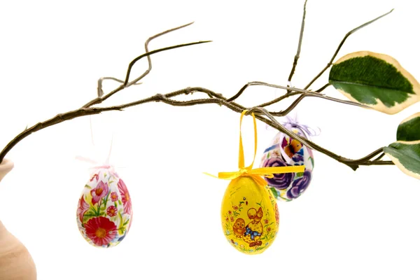 Easter eggs in the branch — Stock Photo, Image