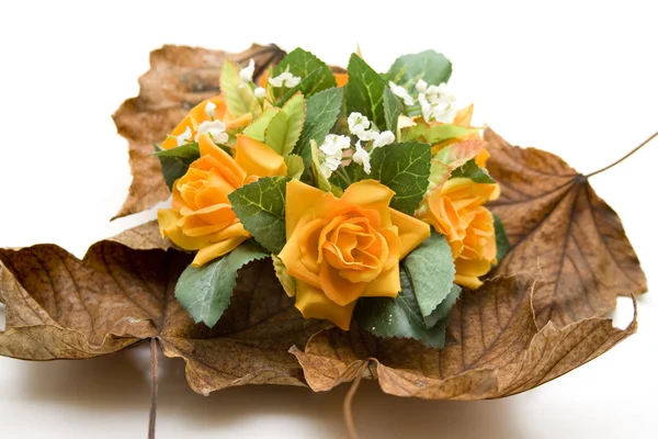 Roses with autumn foliage — Stock Photo, Image