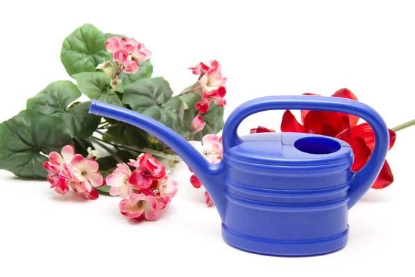 Watering can with geranium — Stock Photo, Image
