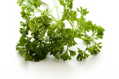 taze yeşil maydanoz
