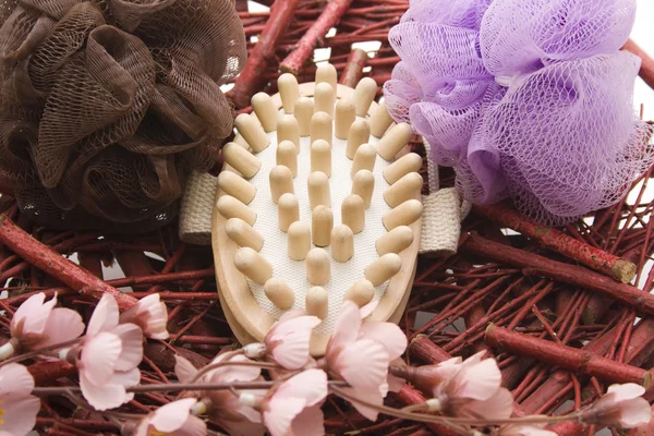 Szczotka do masażu z gąbką sieciową — Zdjęcie stockowe
