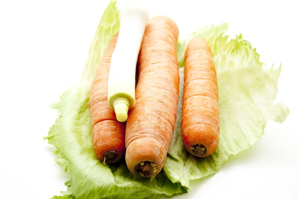 Fresh carrot with leek pole — Stock Photo, Image